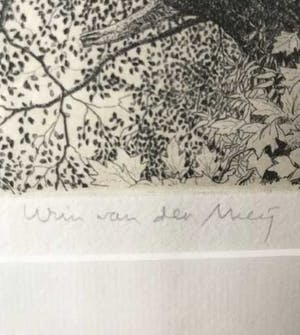 Wim van der Meij - Bomen kopen? Bied vanaf 10!