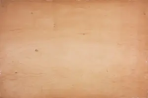 Pim Lenos - Gemengde techniek op paneel, Zonder titel (Groot formaat!) kopen? Bied vanaf 120!