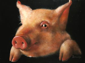 Peter Donkersloot - Gemengde techniek hardboard, Varken - Ingelijst (Groot en zwaar) kopen? Bied vanaf 500!