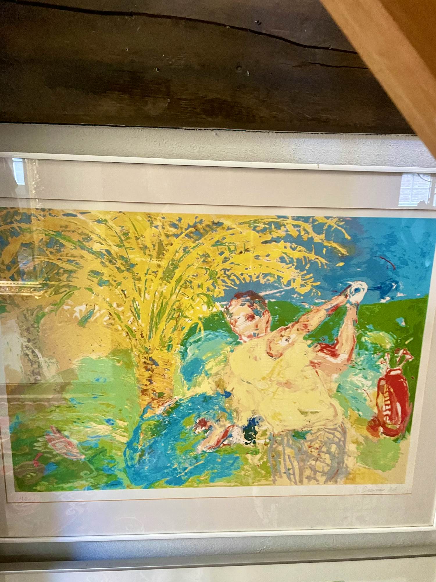 Jan van Diemen - Golf kopen? Bied vanaf 150!