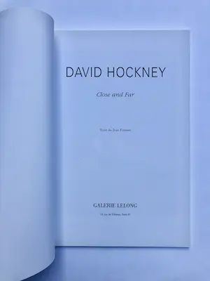 David Hockney - Close and Far kopen? Bied vanaf 1!