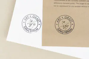 Ben Goossens - 'Leren vliegen' (2010) kopen? Bied vanaf 60!