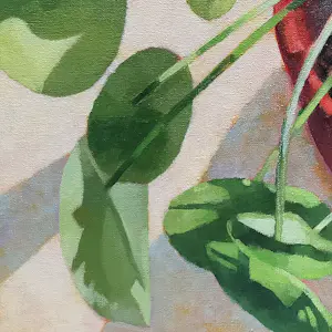 Willem Visser - Pannenkoekplant in rode pot kopen? Bied vanaf 160!