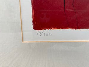 Frank Lejeune - First visite Toscana kopen? Bied vanaf 70!