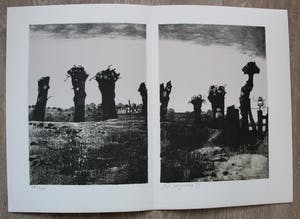 Nicolaas Wijnberg - Litho kopen? Bied vanaf 55!