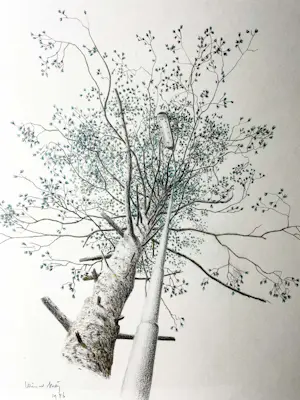 Wim van der Meij - Boom en lantaarnpaal kopen? Bied vanaf 75!