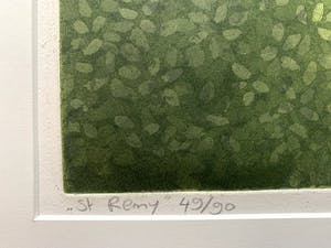 Laetitia de Haas - kleurenets - 'St. Remy' - 1995 kopen? Bied vanaf 75!