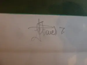 Ivan Stefanek - Enten am Teich kopen? Bied vanaf 49!