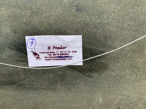 Henk Poeder - Koolmezen kopen? Bied vanaf 89!