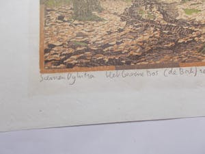 Siemen Dijkstra - Het groenen bos - Houtsnede 2001 kopen? Bied vanaf 190!