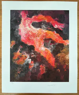 Armando - Exclusieve kleurengiclée - gesigneerd en genummerd 22/30 kopen? Bied vanaf 135!