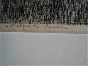 Martin van Waning - Mooie grote Droge Naald Ets - Vliegende eenden Schiermonnikoog - gesigneerd kopen? Bied vanaf 29!