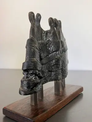 Judith Braun - Samen hebben we het goed kopen? Bied vanaf 109!