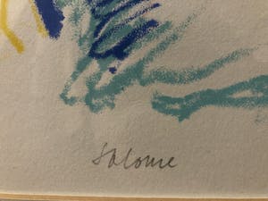 Robert Terwindt - Salomé kopen? Bied vanaf 45!