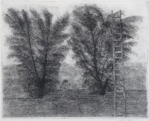 Charles Donker - Ets, Uiltje op muur - Ingelijst kopen? Bied vanaf 150!