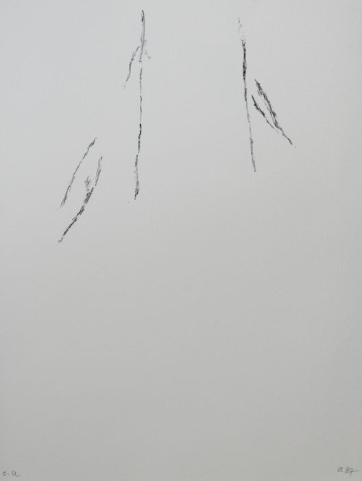 Armando - Der Baum verkocht voor € 1!