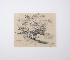 Wim Steijn - Krijttekening, Landschap kopen? Bied vanaf 35!