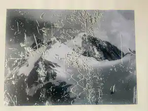 Rudolf Stingel - Untitled vendu pour 1450€ !
