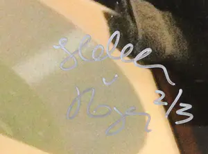 Heleen van Royen - C-print op dibond, Vergankelijkheid I kopen? Bied vanaf 350!