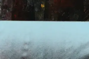 Parscha Mirghawameddin - Urban 291 kopen? Bied vanaf 50!