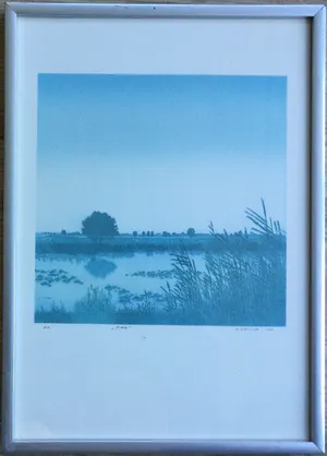 Henk Kastelijn - Zomer | kleuren zeefdruk (e.a.) - ingelijst kopen? Bied vanaf 19!