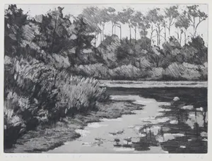 Rob van Essen - Ets / gemengde druktechniek, Bosven - Ingelijst kopen? Bied vanaf 1!