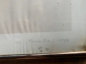 Mario Reis - Die wilde Hummel kopen? Bied vanaf 50!