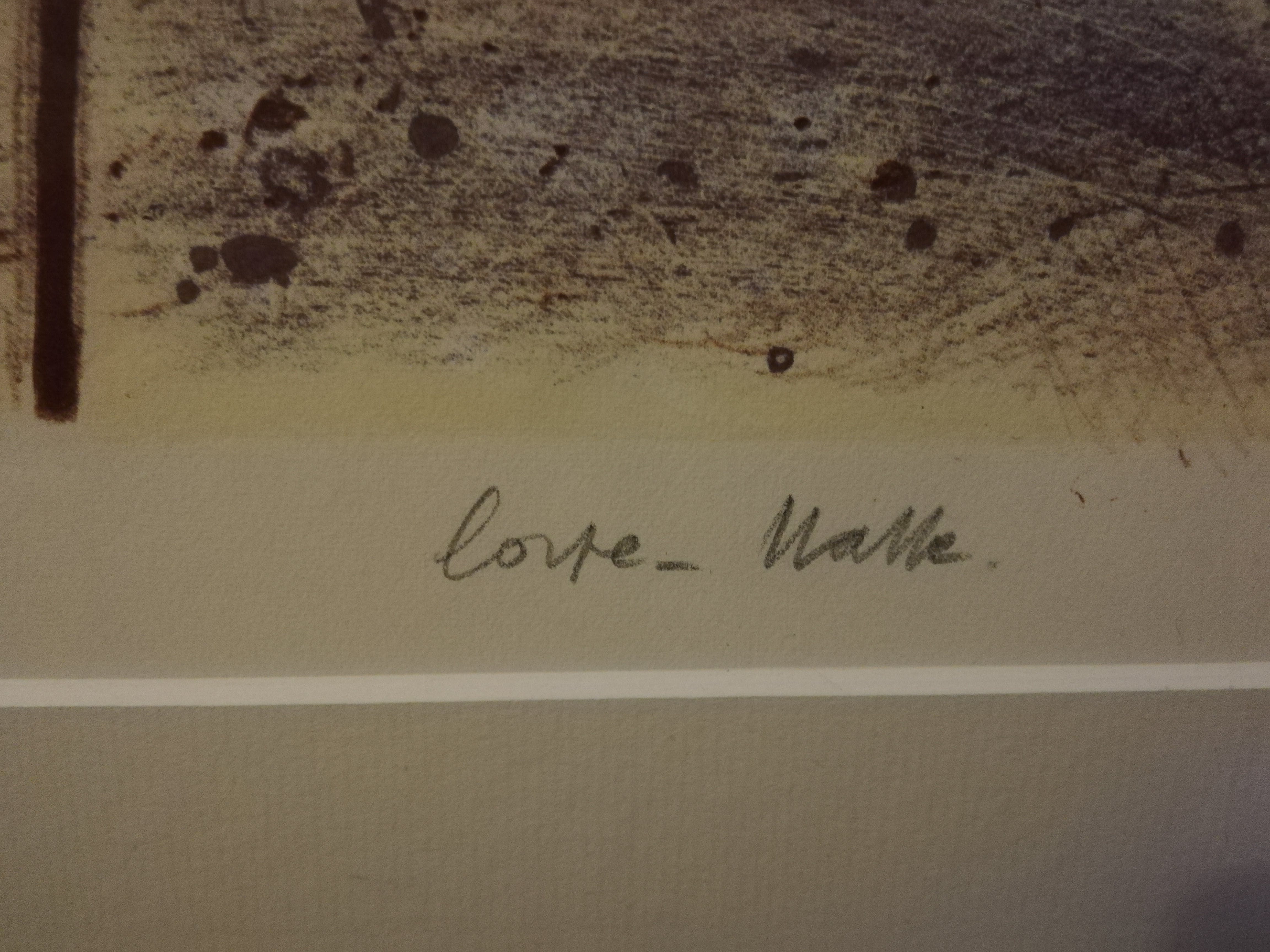 Niet of onleesbaar gesigneerd - Prachtige litho kopen? Bied vanaf 1!