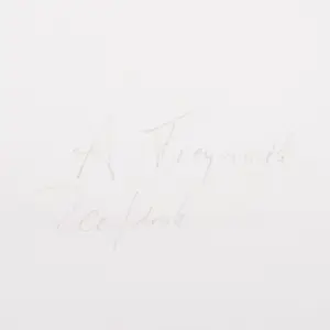 Alphons Freijmuth - Zonder titel kopen? Bied vanaf 100!