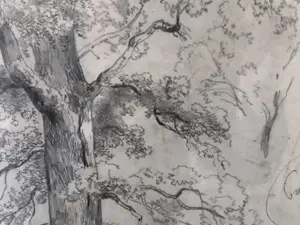 Willem Roelofs - Studie van een eik (Frankrijk 1848) kopen? Bied vanaf 100!