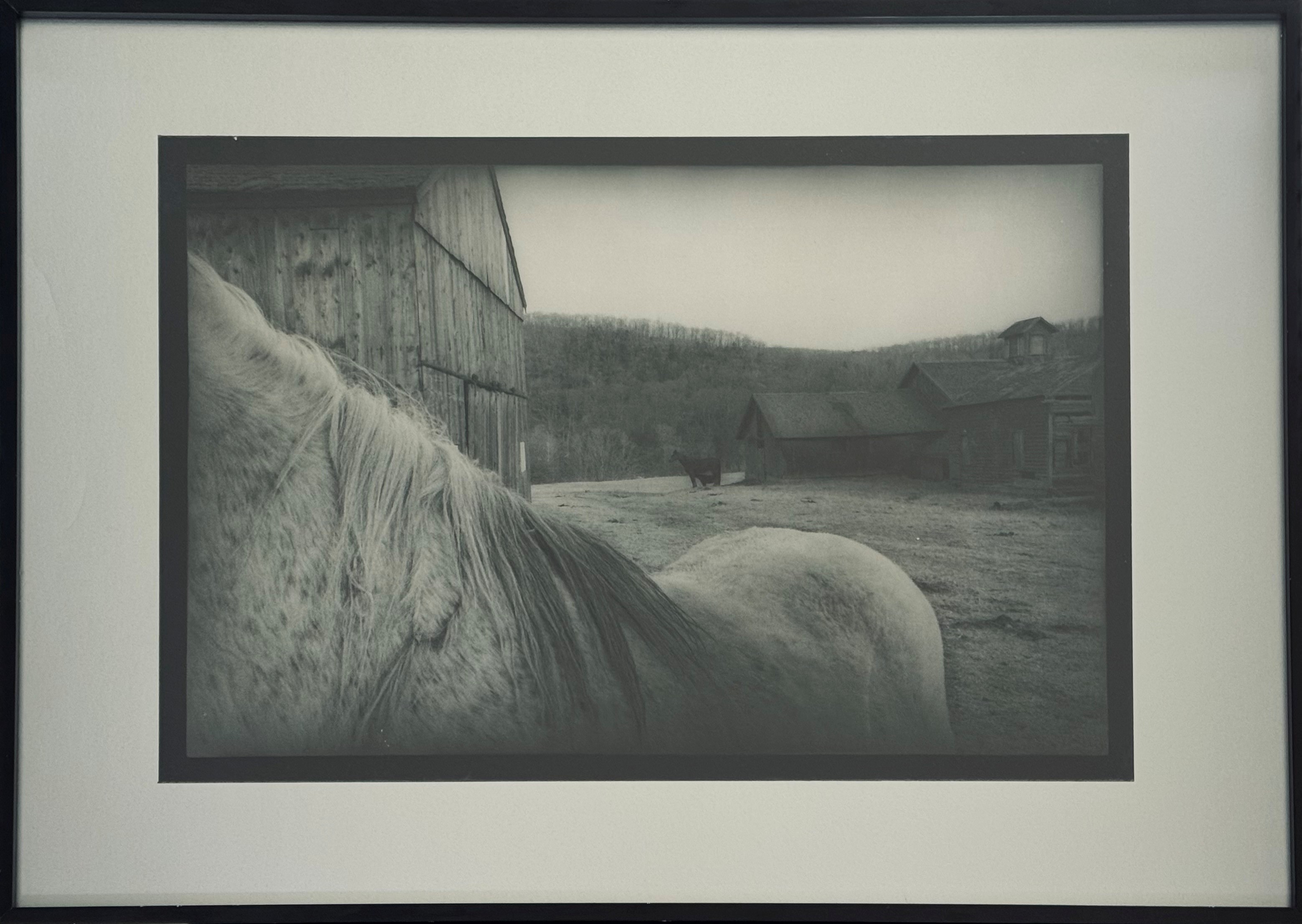 Robb Buitenman (1946)