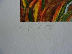 Dadara - Zeefdruk: Frog kopen? Bied vanaf 50!