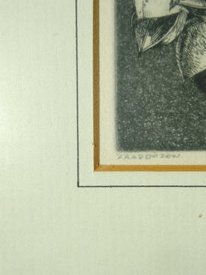 Niet of onleesbaar gesigneerd - Zaadhoezen Ets Aquatint 1977 kopen? Bied vanaf 10!