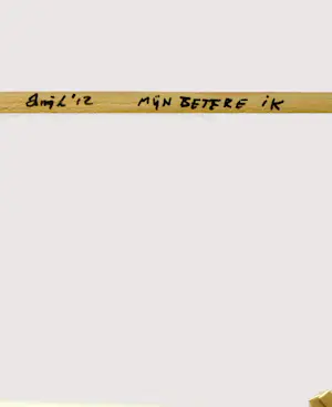 Peter Nieuwendijk - mijn beter ik kopen? Bied vanaf 95!