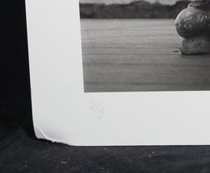 Joke van Katwijk - Lot van 3 foto's op dibond (Groot) kopen? Bied vanaf 1!