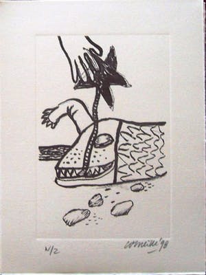 Corneille - zee, strand en varaan kopen? Bied vanaf 1!