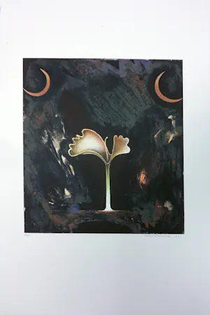 Jurjen Ravenhorst - & Mivrolav Potvic - Litho, Lot van 9 surrealistische voorstellingen kaufen? Bieten Sie von 100!