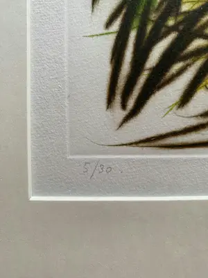 Simon Koene - SIMON KOENE (Den Haag) - abstracte kleurets kopen? Bied vanaf 50!