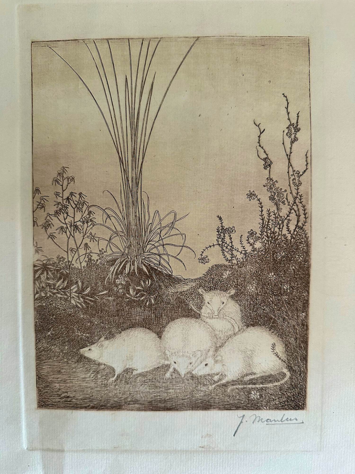 Jan Mankes - Ets vier muizen - Gesigneerd - 1918 kopen? Bied vanaf 425!