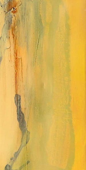 Hans Vanhorck - Acryl op doek, Xolotl II kopen? Bied vanaf 400!