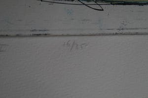 Hans Vredegoor - Splitting Image II kopen? Bied vanaf 5!