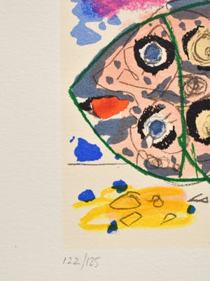 Kees Salentijn - Vis kopen? Bied vanaf 1!