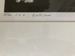 Anton Sladek - Ballerina's kopen? Bied vanaf 75!