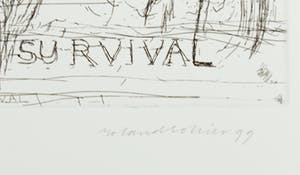 Roland Sohier - Ets, Ditjes & datjes van de clowns III kopen? Bied vanaf 35!