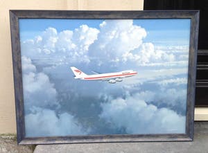 Lam van 't Hof - B442 - Vliegtuig Martinair kopen? Bied vanaf 300!