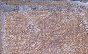 Carolina Paulussen - Acryl op doek, Zonder titel (Groot) kopen? Bied vanaf 1!