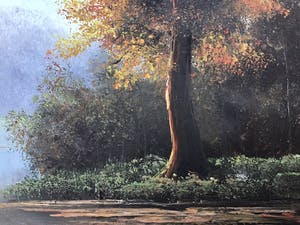 Niet of onleesbaar gesigneerd - Boom. kopen? Bied vanaf 1!