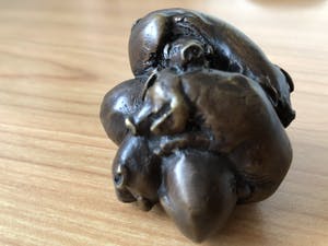 Brons (Onbekend) - Bronzen beeldje van " VARKENS " kopen? Bied vanaf 35!