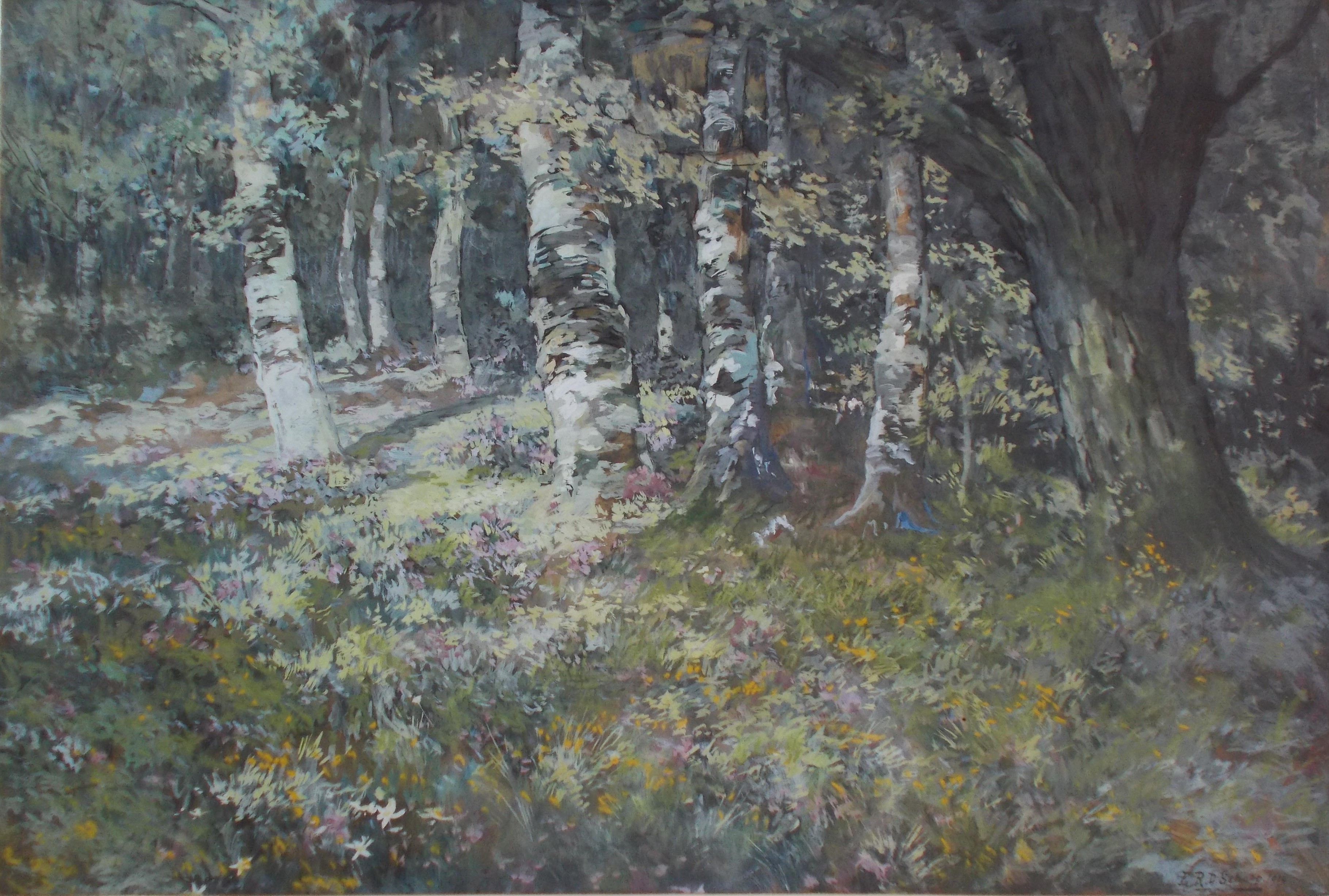 Egbert Schaap - Bosgezicht verkocht voor € 150!