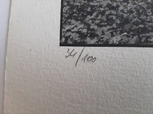 Ralph Janowski - zonder titel kopen? Bied vanaf 25!